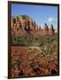 Red Rock Country with Spring Flowers, Sedona, Arizona, USA-Jamie & Judy Wild-Framed Photographic Print