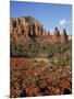 Red Rock Country with Spring Flowers, Sedona, Arizona, USA-Jamie & Judy Wild-Mounted Photographic Print