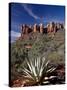Red Rock Formations and An Agave Plant, Coconino National Forest, Arizona-James Hager-Stretched Canvas