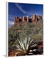 Red Rock Formations and An Agave Plant, Coconino National Forest, Arizona-James Hager-Framed Photographic Print