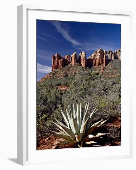 Red Rock Formations and An Agave Plant, Coconino National Forest, Arizona-James Hager-Framed Photographic Print