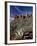 Red Rock Formations and An Agave Plant, Coconino National Forest, Arizona-James Hager-Framed Photographic Print