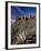 Red Rock Formations and An Agave Plant, Coconino National Forest, Arizona-James Hager-Framed Photographic Print