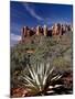 Red Rock Formations and An Agave Plant, Coconino National Forest, Arizona-James Hager-Mounted Photographic Print