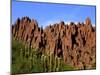 Red Rock Formations in the Canon del Inca, Tupiza Chichas Range, Andes, Southwestern Bolivia-Simon Montgomery-Mounted Photographic Print