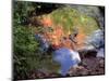 Red Rock, Havasupai Reservation, Havasu Canyon, Arizona, USA-Jerry Ginsberg-Mounted Photographic Print