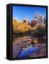 Red Rock Mountains near Red Rock Crossing with Reflections in River-Terry Eggers-Framed Stretched Canvas