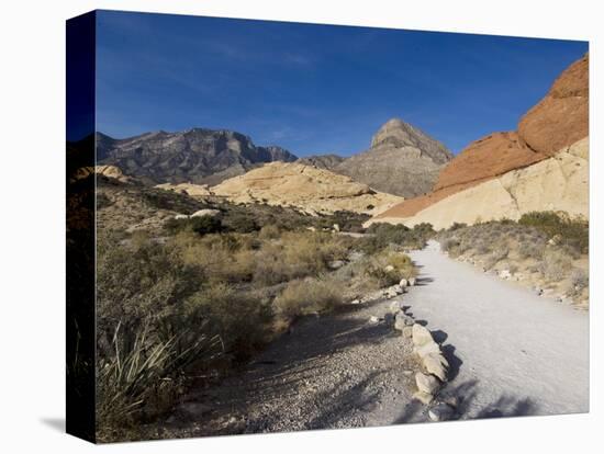 Red Rock National Conservation Area, Las Vegas, Nevada, United States of America, North America-Ethel Davies-Stretched Canvas