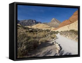 Red Rock National Conservation Area, Las Vegas, Nevada, United States of America, North America-Ethel Davies-Framed Stretched Canvas