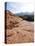 Red Rock National Conservation Area, Las Vegas, Nevada, United States of America, North America-Ethel Davies-Stretched Canvas