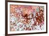 Red Rock Reflections-Margaret Juul-Framed Art Print