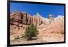 Red rock sandstone formations on the Grand Parade Trail, Kodachrome Basin State Park, Utah, United -Michael Nolan-Framed Photographic Print