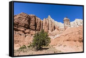 Red rock sandstone formations on the Grand Parade Trail, Kodachrome Basin State Park, Utah, United -Michael Nolan-Framed Stretched Canvas