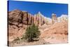 Red rock sandstone formations on the Grand Parade Trail, Kodachrome Basin State Park, Utah, United -Michael Nolan-Stretched Canvas