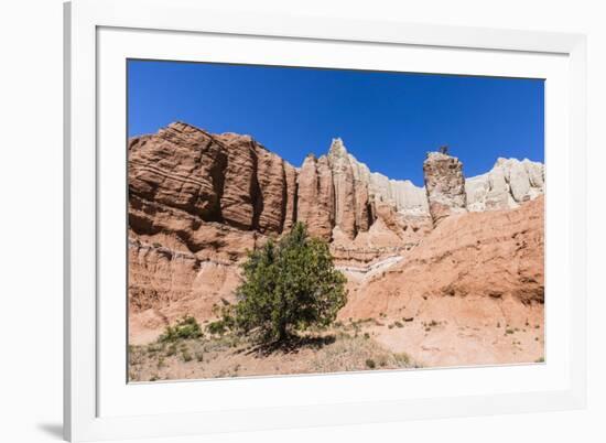 Red rock sandstone formations on the Grand Parade Trail, Kodachrome Basin State Park, Utah, United -Michael Nolan-Framed Photographic Print