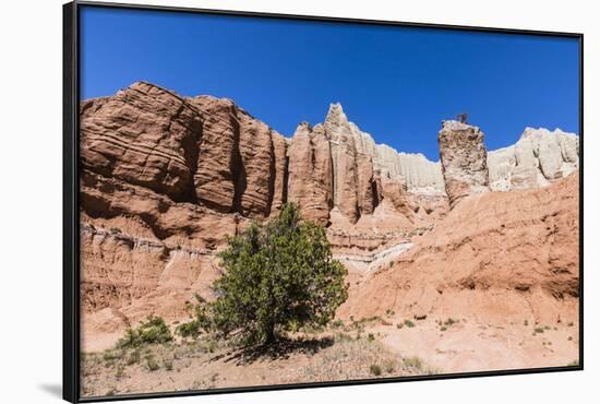 Red rock sandstone formations on the Grand Parade Trail, Kodachrome Basin State Park, Utah, United -Michael Nolan-Framed Photographic Print