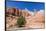 Red rock sandstone formations on the Grand Parade Trail, Kodachrome Basin State Park, Utah, United -Michael Nolan-Framed Photographic Print