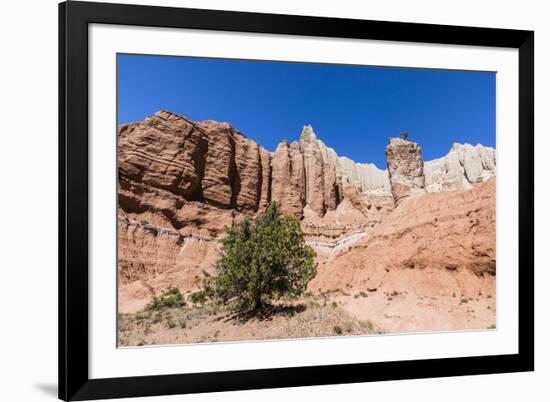 Red rock sandstone formations on the Grand Parade Trail, Kodachrome Basin State Park, Utah, United -Michael Nolan-Framed Photographic Print