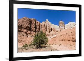 Red rock sandstone formations on the Grand Parade Trail, Kodachrome Basin State Park, Utah, United -Michael Nolan-Framed Photographic Print