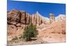 Red rock sandstone formations on the Grand Parade Trail, Kodachrome Basin State Park, Utah, United -Michael Nolan-Mounted Photographic Print