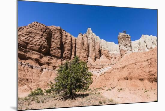 Red rock sandstone formations on the Grand Parade Trail, Kodachrome Basin State Park, Utah, United -Michael Nolan-Mounted Photographic Print