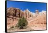 Red rock sandstone formations on the Grand Parade Trail, Kodachrome Basin State Park, Utah, United -Michael Nolan-Framed Stretched Canvas