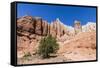 Red rock sandstone formations on the Grand Parade Trail, Kodachrome Basin State Park, Utah, United -Michael Nolan-Framed Stretched Canvas