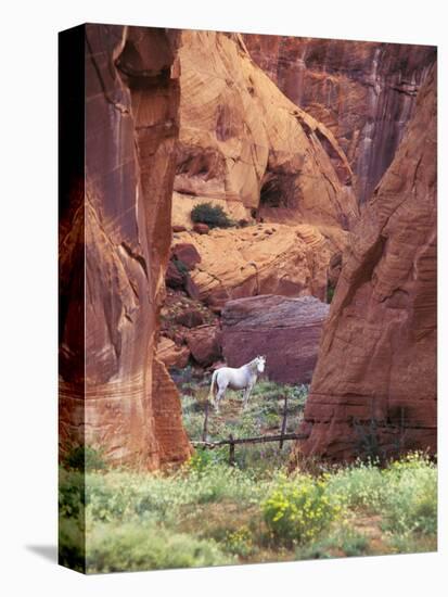 Red Rock, White Horse, White Mountains, Canyon De Chelly, Arizona, USA-Nancy Rotenberg-Stretched Canvas