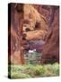 Red Rock, White Horse, White Mountains, Canyon De Chelly, Arizona, USA-Nancy Rotenberg-Stretched Canvas
