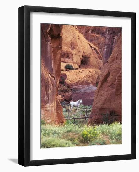 Red Rock, White Horse, White Mountains, Canyon De Chelly, Arizona, USA-Nancy Rotenberg-Framed Photographic Print