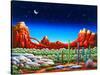 Red Rocks 5-Andy Russell-Stretched Canvas