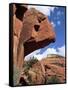 Red Rocks, Sedona, Arizona, USA-R H Productions-Framed Stretched Canvas