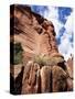 Red Rocks, Sedona, Arizona, USA-R H Productions-Stretched Canvas