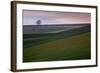 Red Roof, Kerala-Valda Bailey-Framed Photographic Print