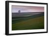 Red Roof, Kerala-Valda Bailey-Framed Photographic Print