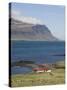 Red Roofed Farm Buildings, Faskrudsfjordur, East Area, Iceland, Polar Regions-Neale Clarke-Stretched Canvas