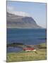 Red Roofed Farm Buildings, Faskrudsfjordur, East Area, Iceland, Polar Regions-Neale Clarke-Mounted Photographic Print