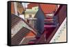 Red roofs of historical buildings in the old town, Tallinn, Estonia-Keren Su-Framed Stretched Canvas