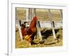 Red Rooster, Rhode Island, USA-Chuck Haney-Framed Premium Photographic Print