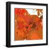 Red Rooster-Irena Orlov-Framed Art Print