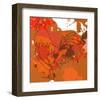 Red Rooster-Irena Orlov-Framed Art Print