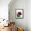 Red Rose, 1999-Norman Hollands-Framed Photographic Print displayed on a wall