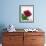 Red Rose, 1999-Norman Hollands-Framed Photographic Print displayed on a wall