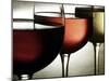Red, Rose and White Wine-Steve Lupton-Mounted Photographic Print