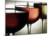 Red, Rose and White Wine-Steve Lupton-Mounted Photographic Print