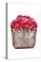 Red Rose Bag-Amanda Greenwood-Stretched Canvas