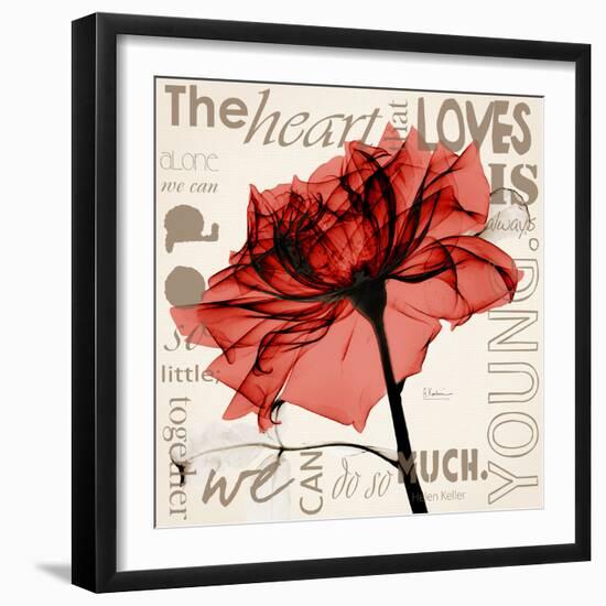 Red Rose Love-Albert Koetsier-Framed Photographic Print