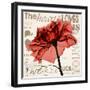 Red Rose Love-Albert Koetsier-Framed Photographic Print