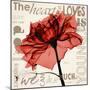 Red Rose Love-Albert Koetsier-Mounted Photographic Print