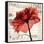 Red Rose Love-Albert Koetsier-Framed Stretched Canvas